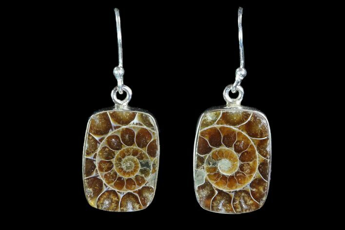 Fossil Ammonite Earrings - Sterling Silver #81641